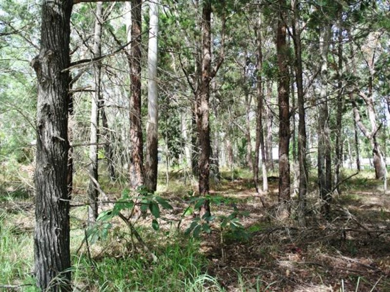 10 Piccaninny Street, Macleay Island QLD 4184