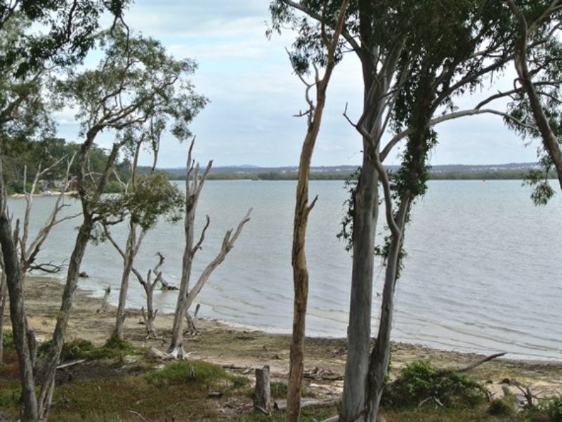 31 Benowa Street, Macleay Island QLD 4184