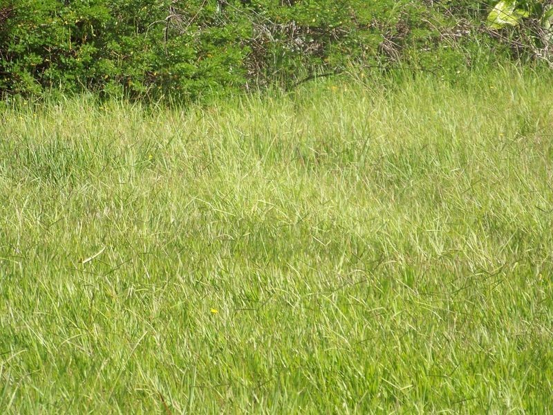 59 Camena, Macleay Island QLD 4184