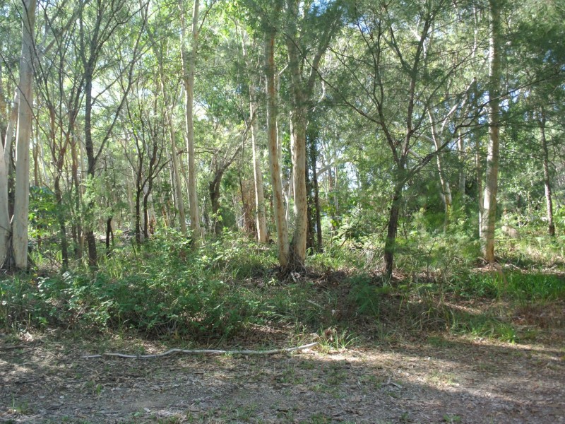 16 Heron Street, Macleay Island QLD 4184