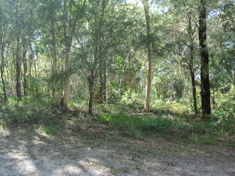 16 Heron Street, Macleay Island QLD 4184