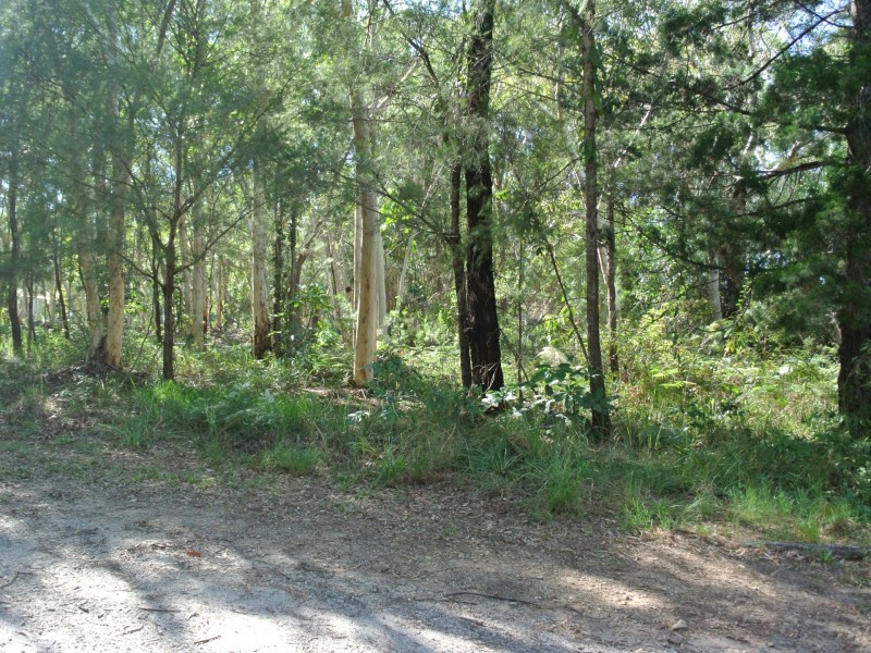 16 Heron Street, Macleay Island QLD 4184