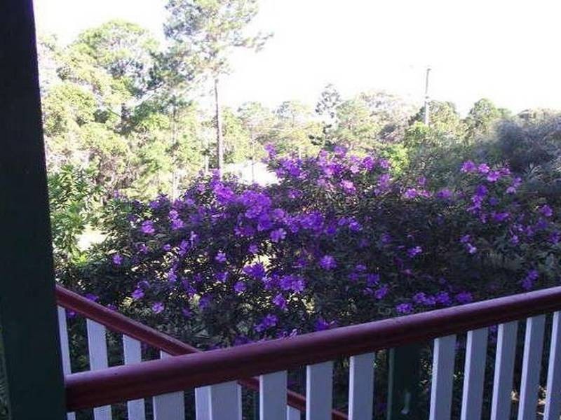 17 HALCYON STREET, Lamb Island QLD 4184