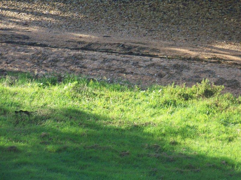 40 RESTHAVEN DRIVE, Lamb Island QLD 4184