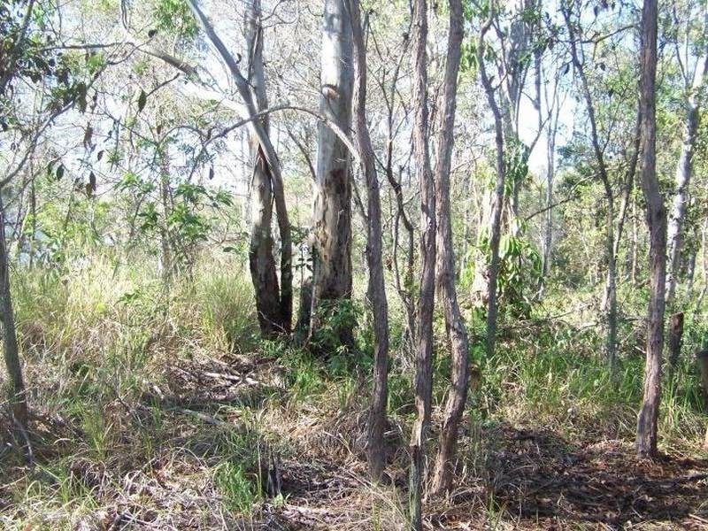 35 Goodsell Crescent, Lamb Island QLD 4184