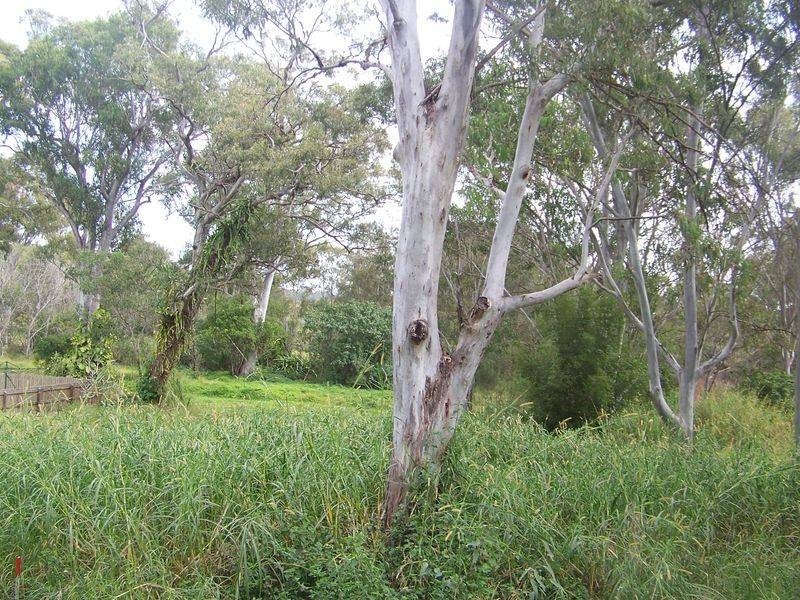 153 Lucas Drive, Lamb Island QLD 4184