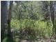 9 Goodsell Crescent, Lamb Island QLD 4184