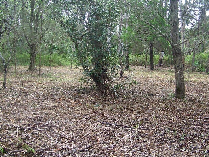 9 Goodsell Crescent, Lamb Island QLD 4184