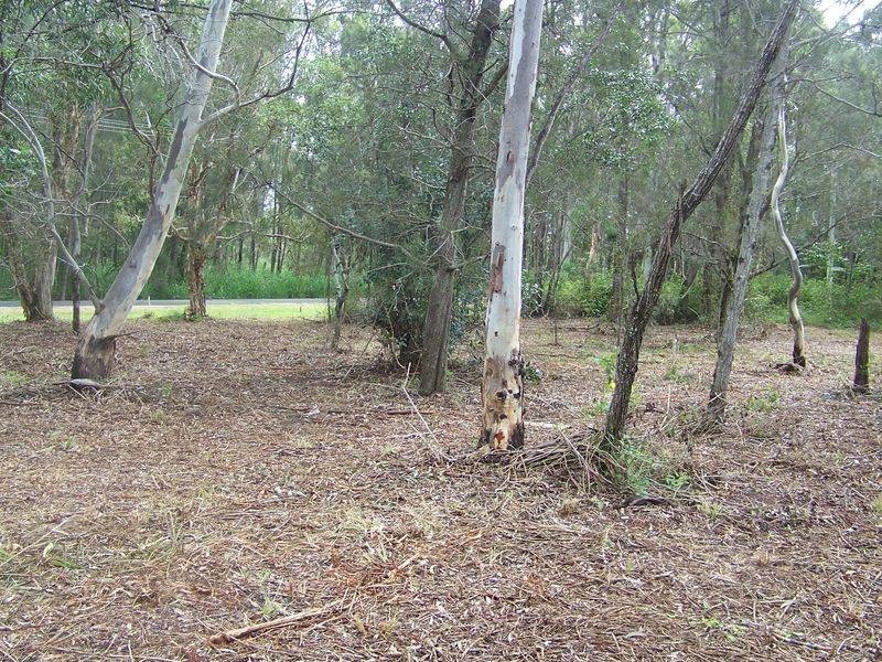 9 Goodsell Crescent, Lamb Island QLD 4184