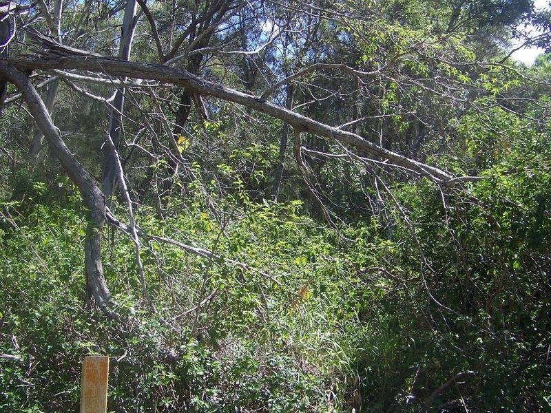 9 Goodsell Crescent, Lamb Island QLD 4184