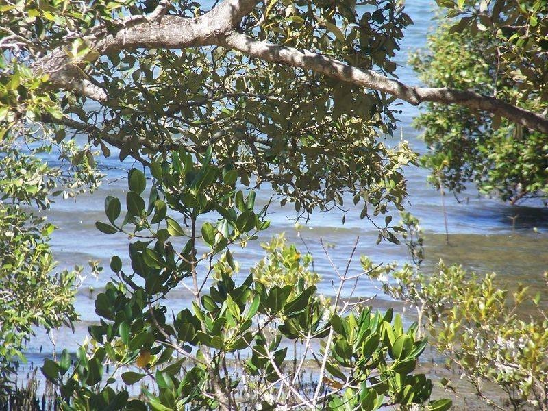 lot 40 Azure Court, Lamb Island QLD 4184