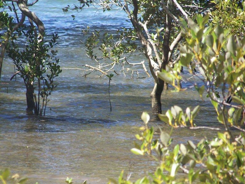 lot 40 Azure Court, Lamb Island QLD 4184