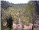14 Emita Street, Macleay Island QLD 4184