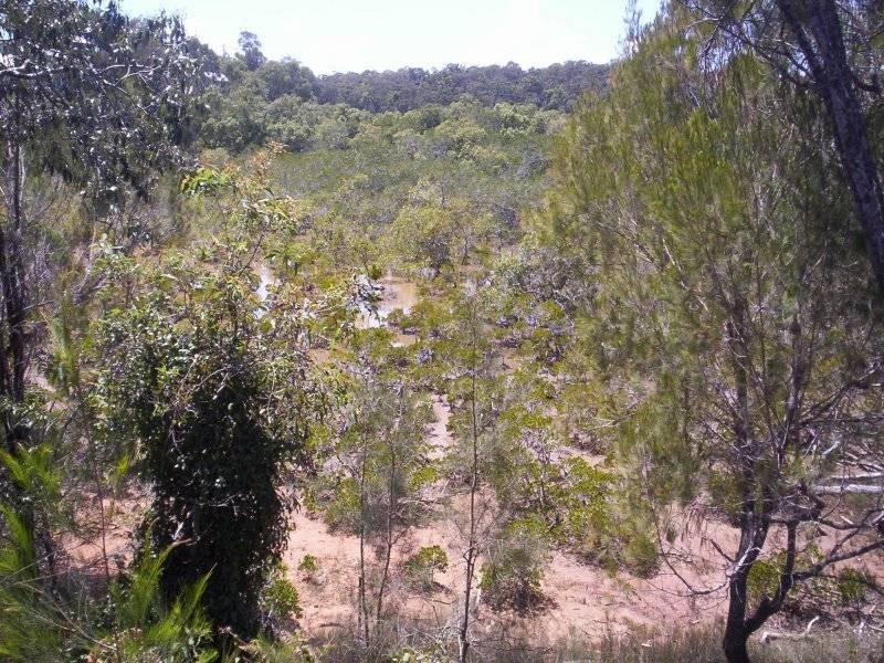 14 Emita Street, Macleay Island QLD 4184