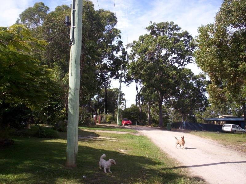 35 Orion Street, Macleay Island QLD 4184