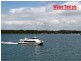 36 Arthur Street, Macleay Island QLD 4184
