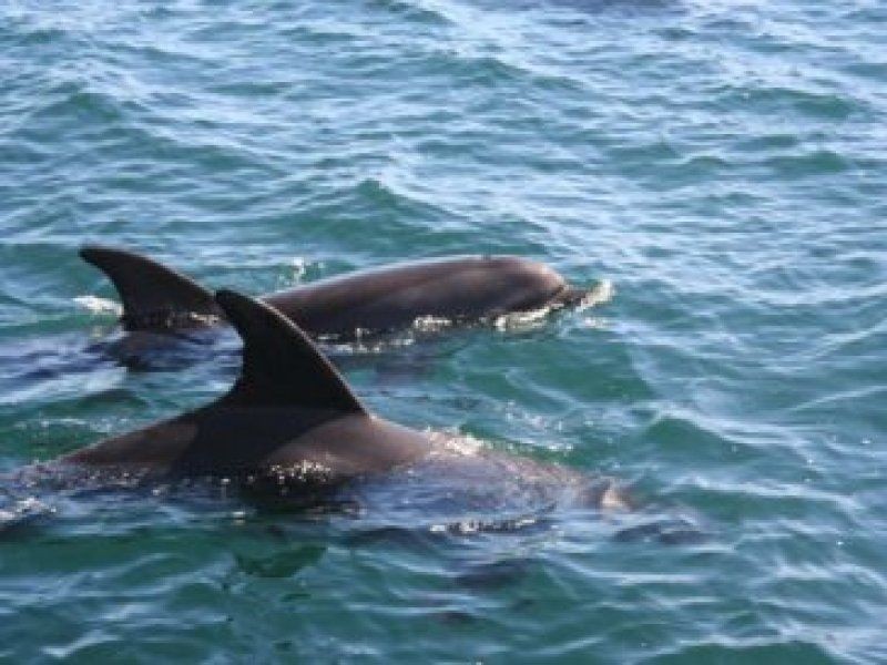 15 to 21 Jan St, Macleay Island QLD 4184