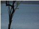 18 Resthaven Drive, Lamb Island QLD 4184