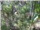 105 Perulpa Drive, Lamb Island QLD 4184
