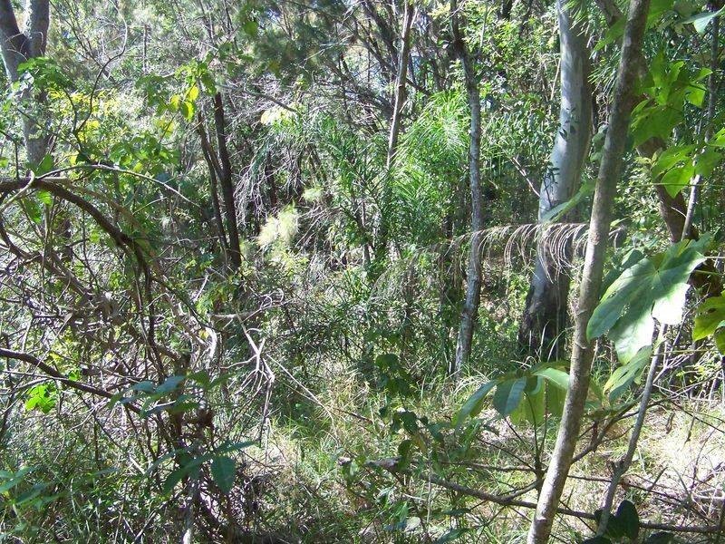 105 Perulpa Drive, Lamb Island QLD 4184