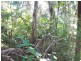 105 Perulpa Drive, Lamb Island QLD 4184
