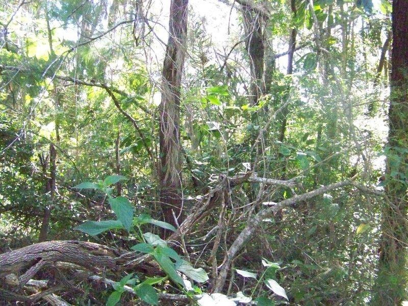 105 Perulpa Drive, Lamb Island QLD 4184