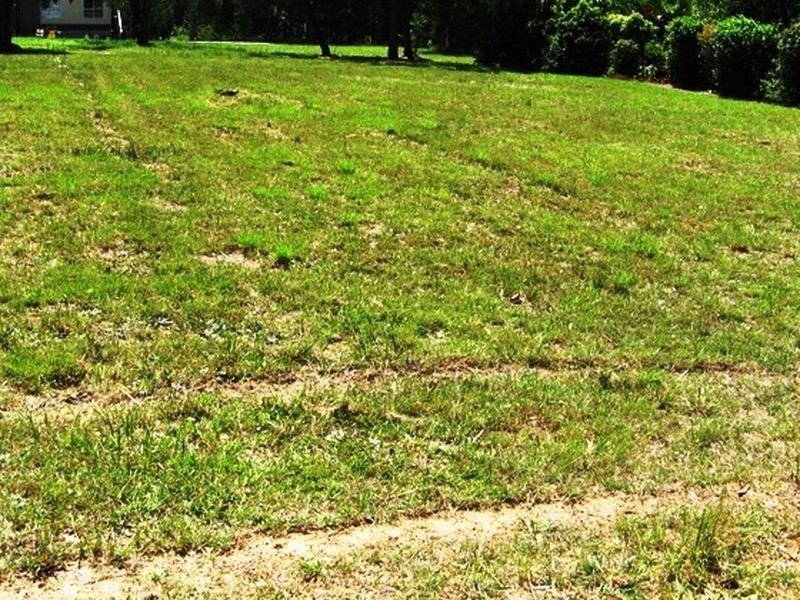 60 Scotts Rd, Macleay Island QLD 4184
