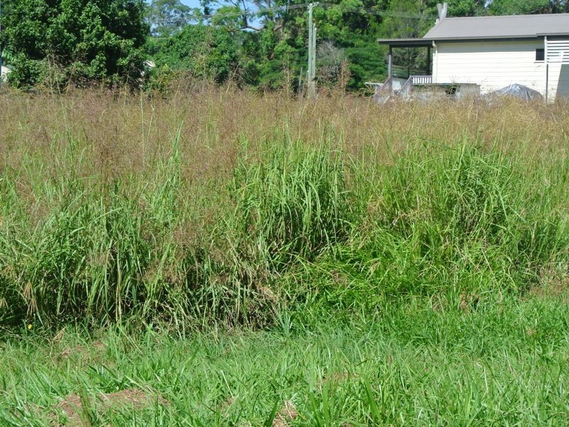 Macleay Island QLD 4184