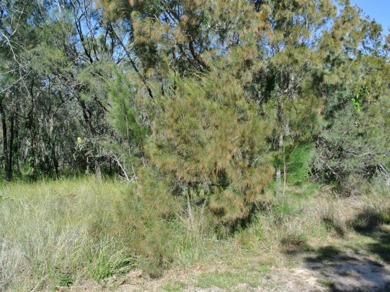 28-30 Wake Street, Macleay Island QLD 4184