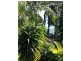 7 Kalara Street, Macleay Island QLD 4184