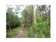 17 Jane Street, Macleay Island QLD 4184