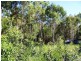 17 Jane Street, Macleay Island QLD 4184