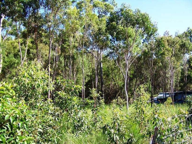 17 Jane Street, Macleay Island QLD 4184