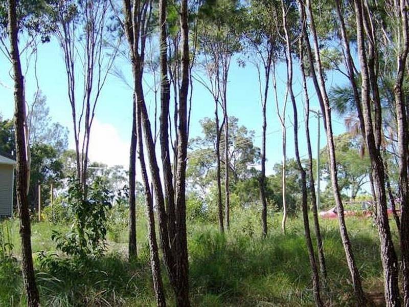 17 Jane Street, Macleay Island QLD 4184