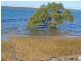 Macleay Island QLD 4184