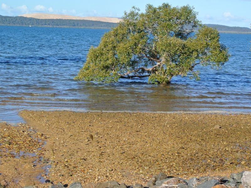Macleay Island QLD 4184