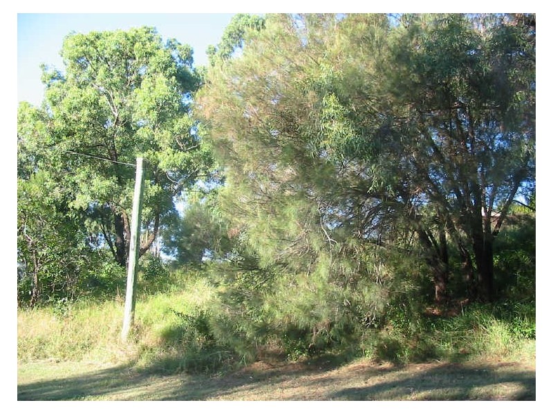 1 Causeway, Macleay Island QLD 4184