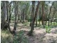 5 Kardinia Street, Macleay Island QLD 4184
