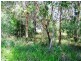 237 High Central Rd, Macleay Island QLD 4184