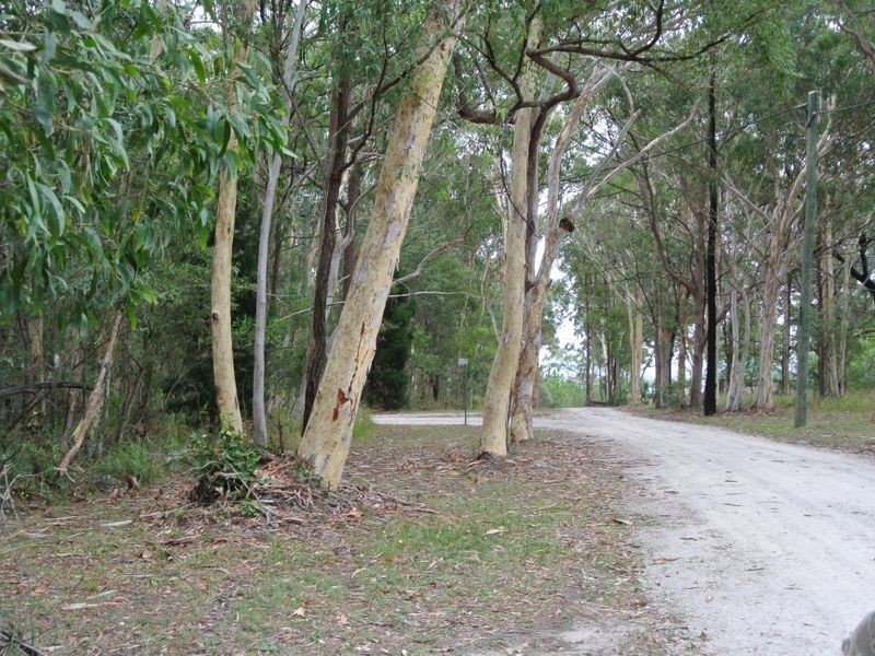 10 Parakeet Street, Macleay Island QLD 4184