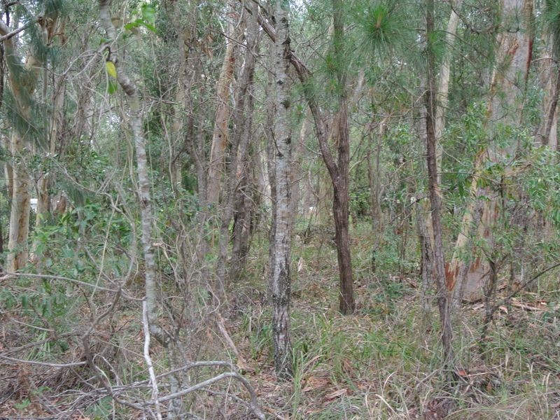 10 Parakeet Street, Macleay Island QLD 4184