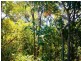 6 Pandora Court, Macleay Island QLD 4184
