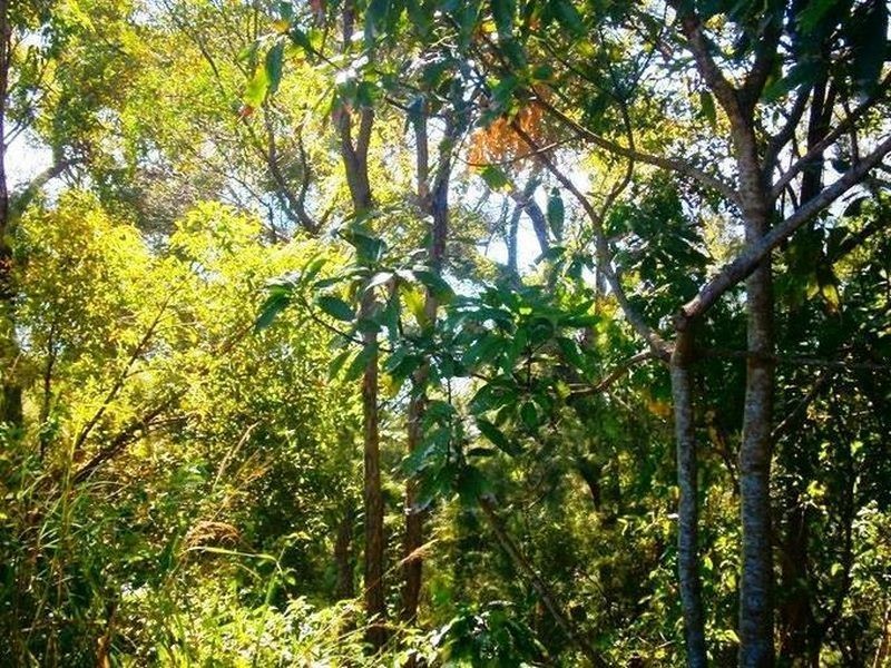 6 Pandora Court, Macleay Island QLD 4184