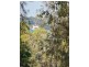 24 The Esplanade, Karragarra Island QLD 4184