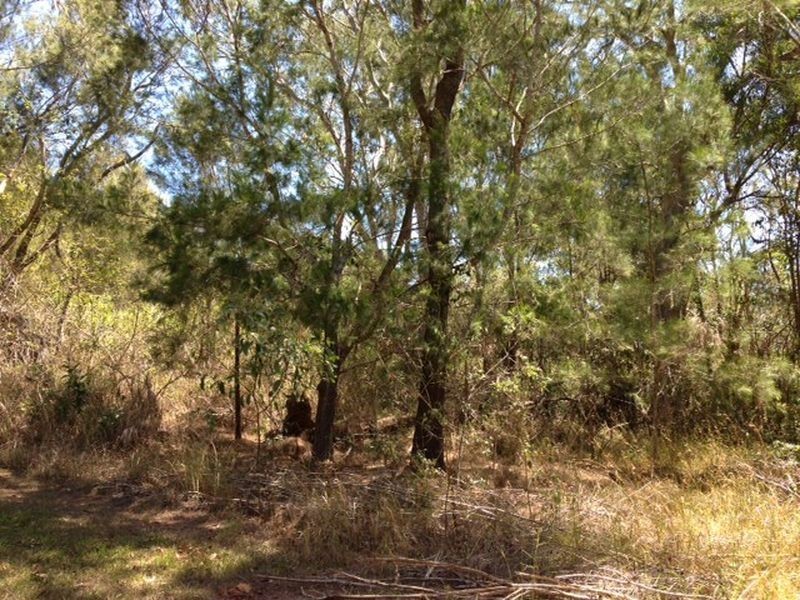 3 Rhodes Street, Macleay Island QLD 4184