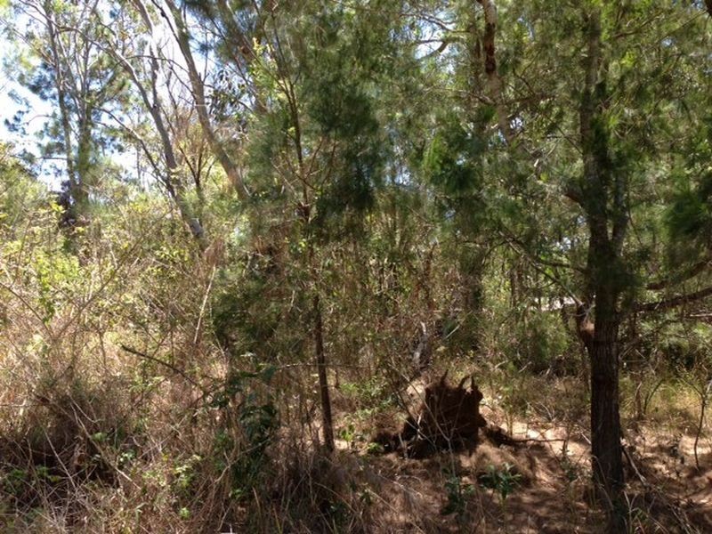 3 Rhodes Street, Macleay Island QLD 4184