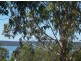 Macleay Island QLD 4184