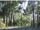13 Beelong Street, Macleay Island QLD 4184