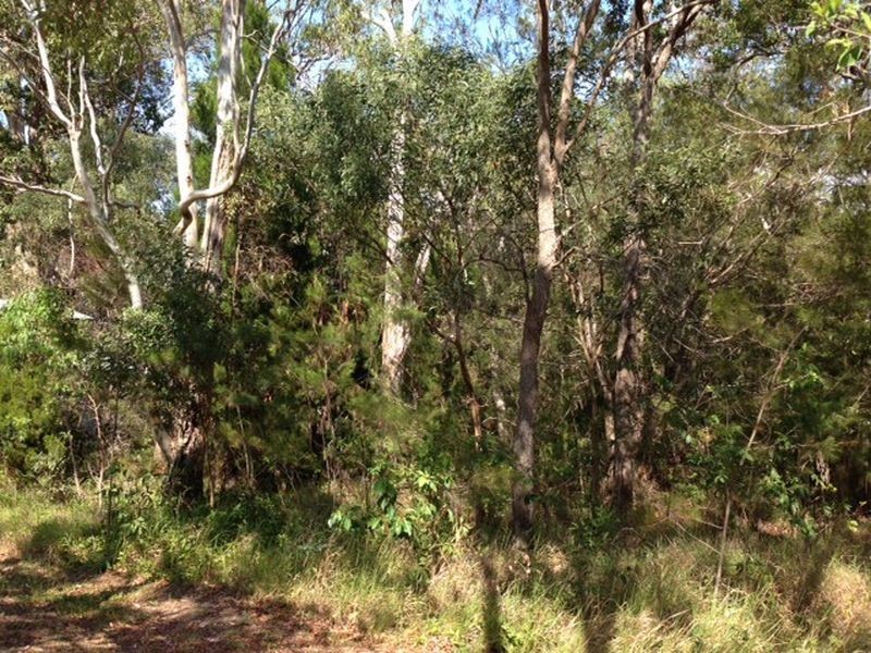 163 Kate Street, Macleay Island QLD 4184