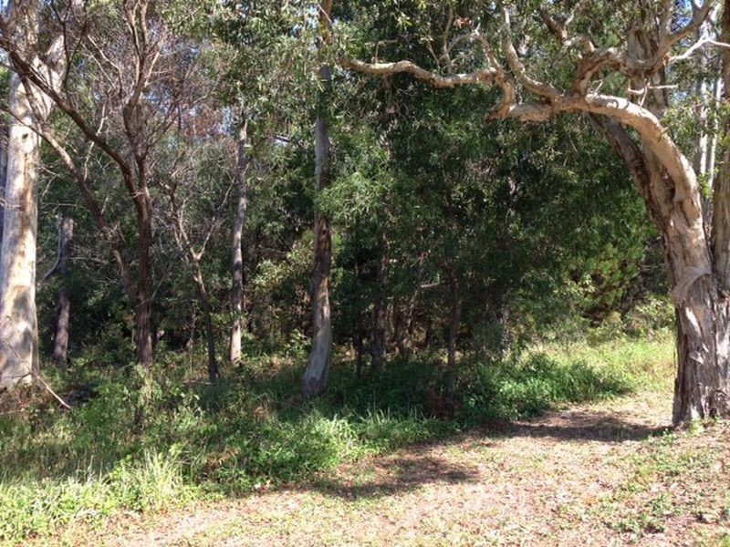 163 Kate Street, Macleay Island QLD 4184